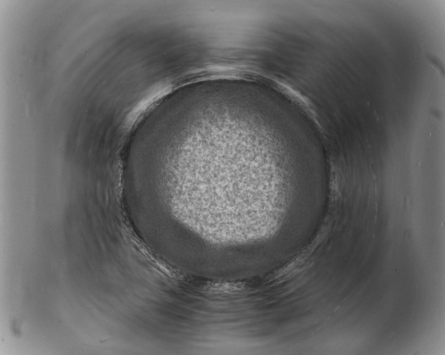 X0000102781411200809021042