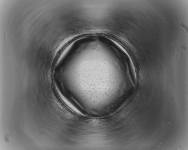 X0000102781412200809021042