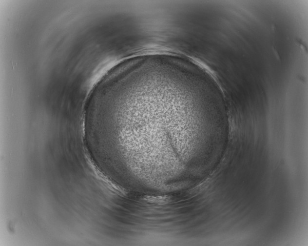 X0000102781415200809021042