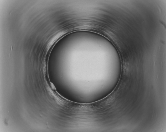 X0000102781418200809021042