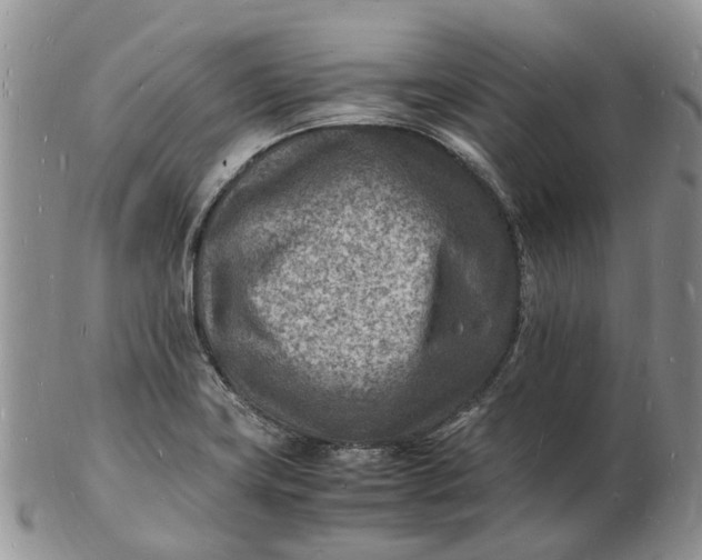 X0000102781419200809021042