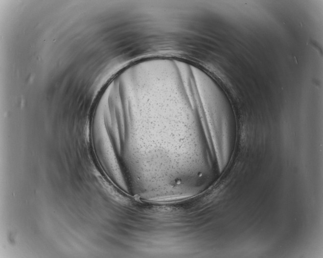 X0000102781420200809021042