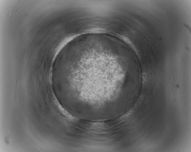 X0000102781421200809021042