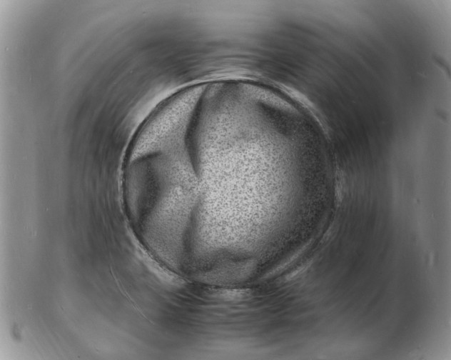 X0000102781423200809021042