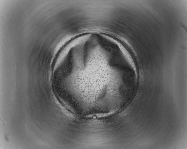 X0000102781424200809021042