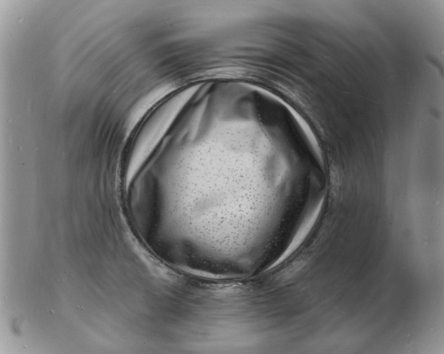 X0000102781426200809021042