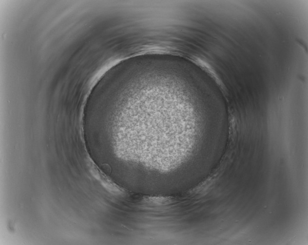 X0000102781427200809021042