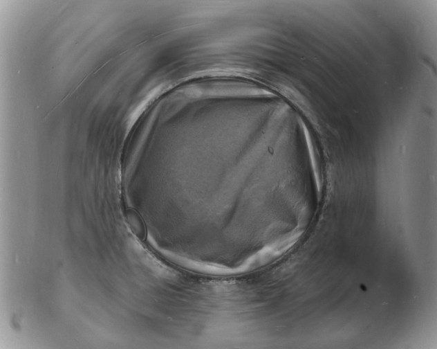 X0000102781428200809021042