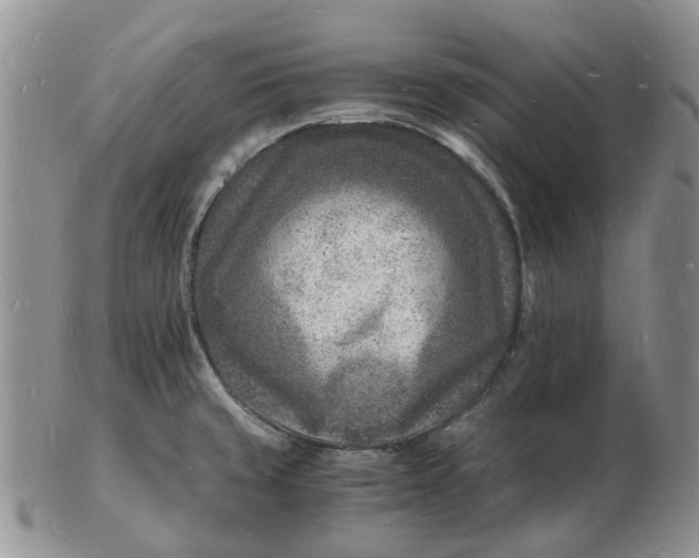 X0000102781429200809021042