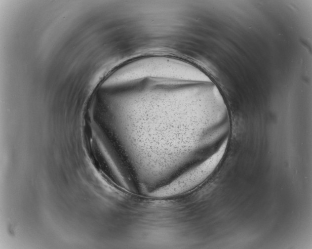 X0000102781430200809021042