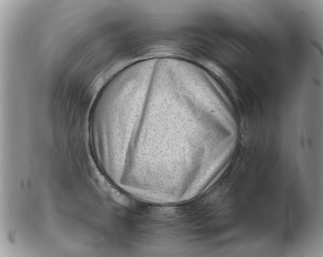 X0000102781431200809021042