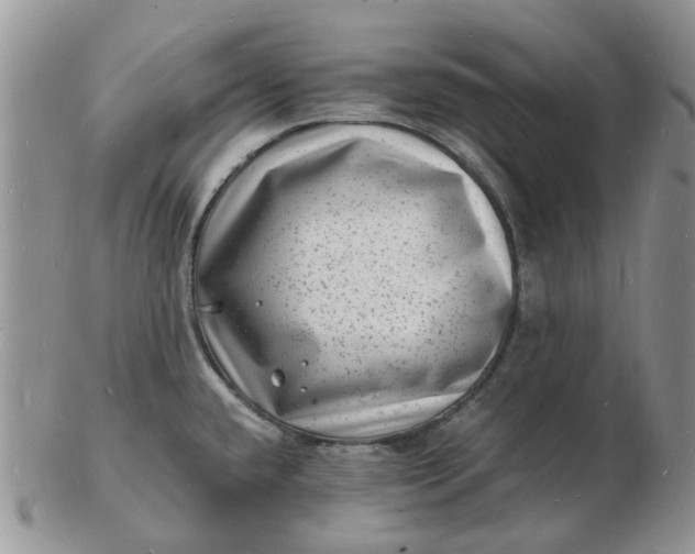 X0000102781432200809021042