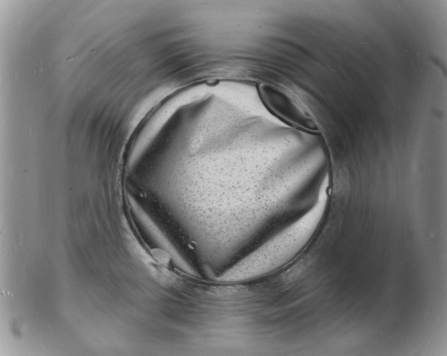 X0000102781434200809021042