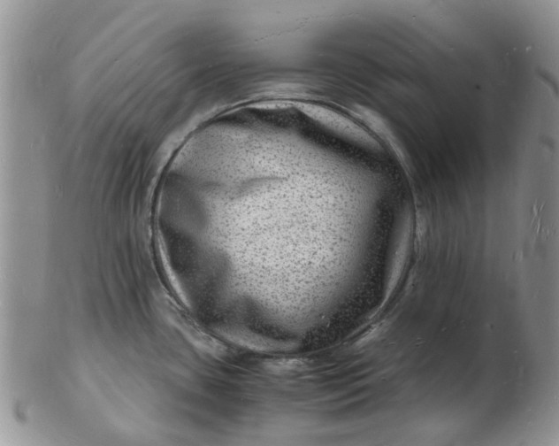 X0000102781435200809021042