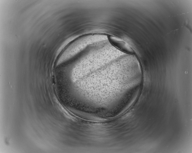 X0000102781436200809021042