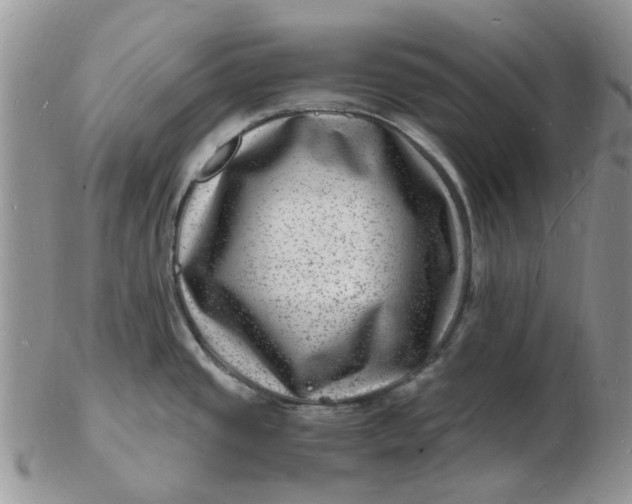 X0000102781437200809021042