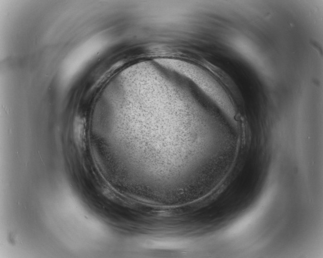 X0000102781438200809021042