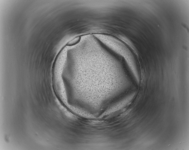 X0000102781439200809021042