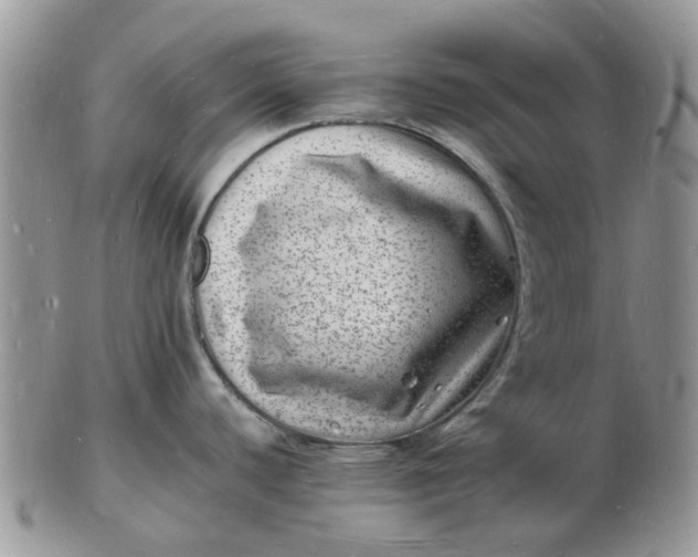 X0000102781440200809021042