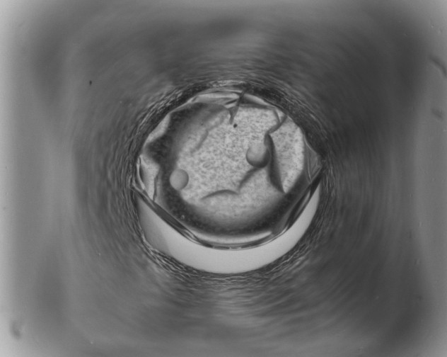 X0000102781441200809021041