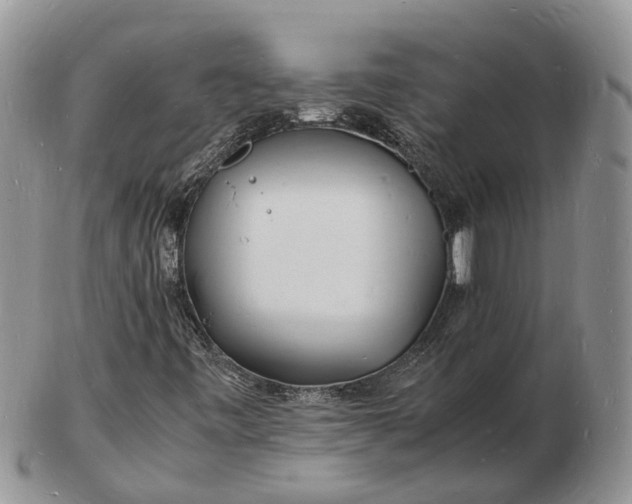 X0000102781443200809021041