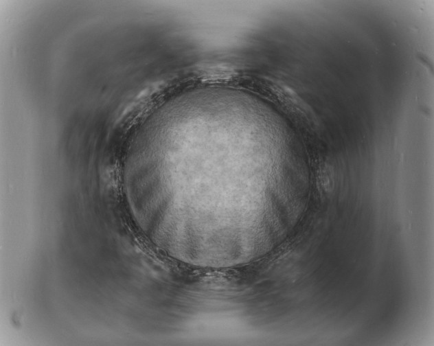 X0000102781445200809021041