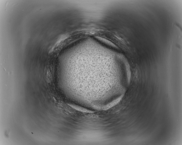 X0000102781446200809021041