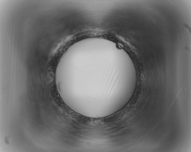 X0000102781447200809021041