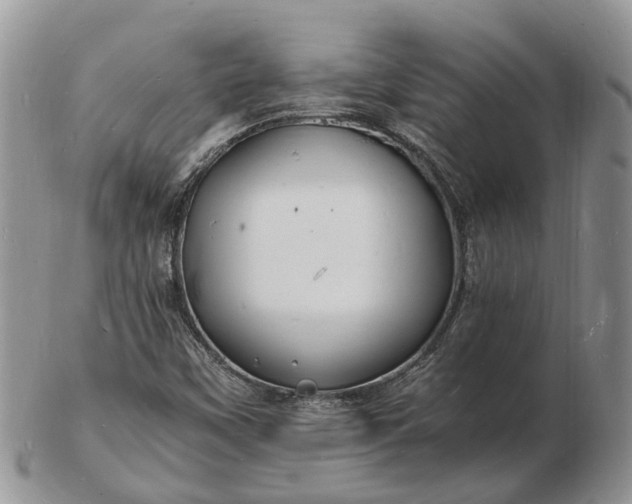 X0000102781451200809021041