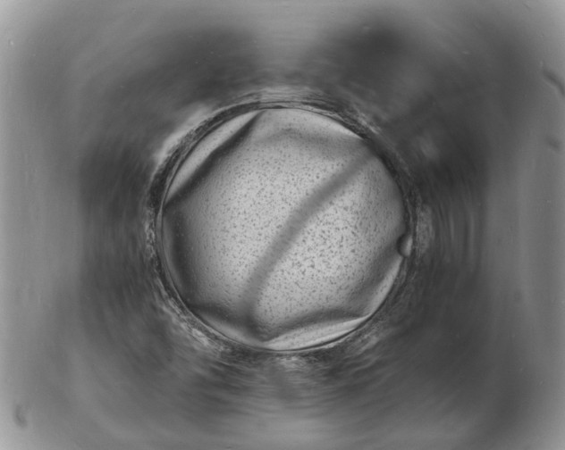 X0000102781454200809021041