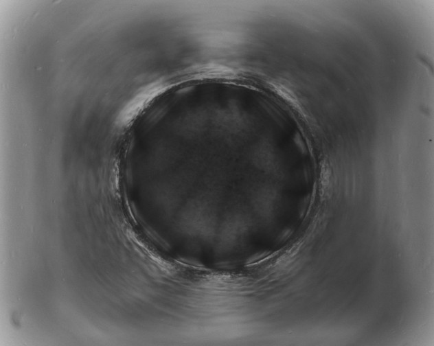 X0000102781455200809021041