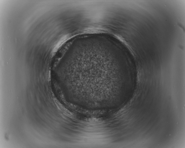 X0000102781459200809021041