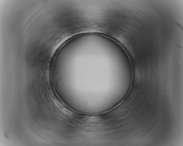 X0000102781460200809021041