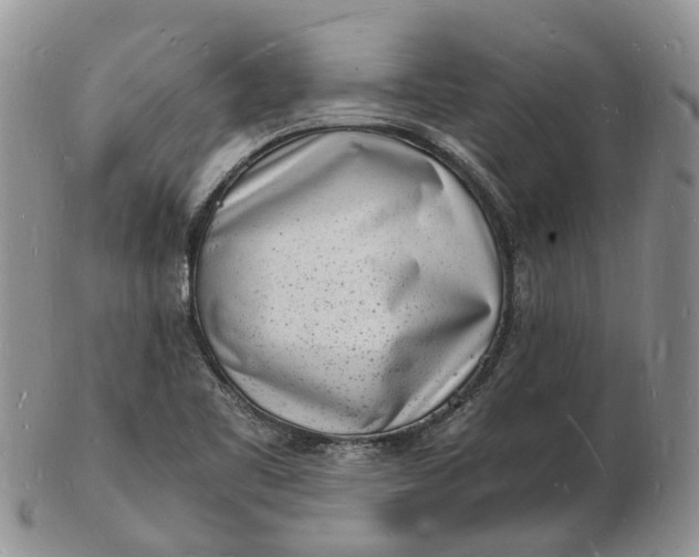 X0000102781461200809021041