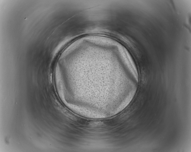 X0000102781462200809021041