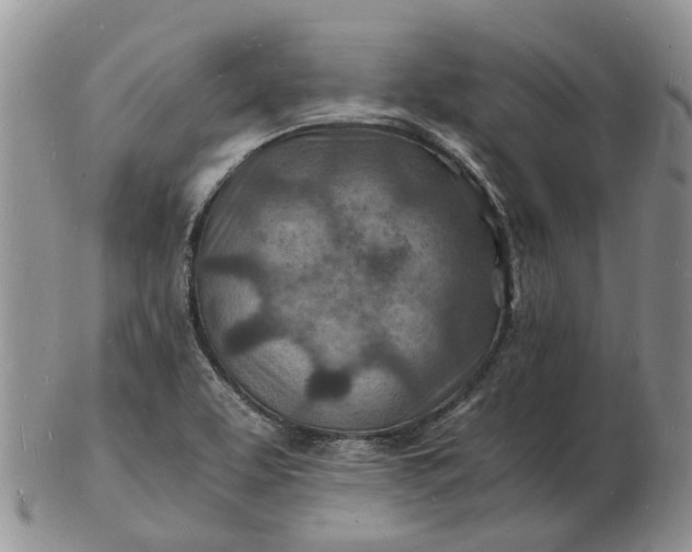 X0000102781463200809021041