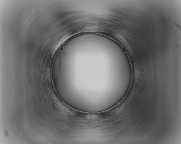 X0000102781465200809021041