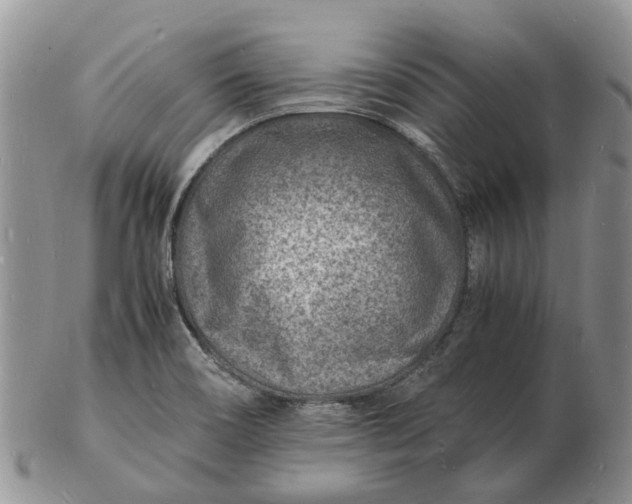 X0000102781466200809021041