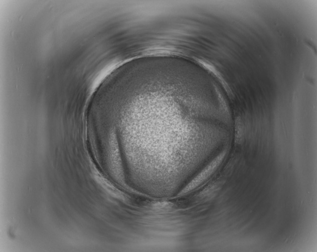 X0000102781467200809021041