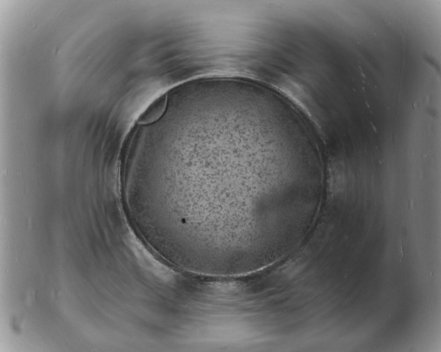 X0000102781468200809021041