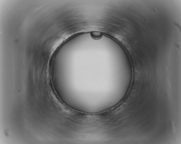 X0000102781469200809021041