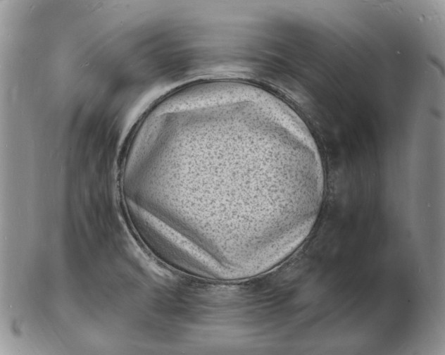 X0000102781470200809021041