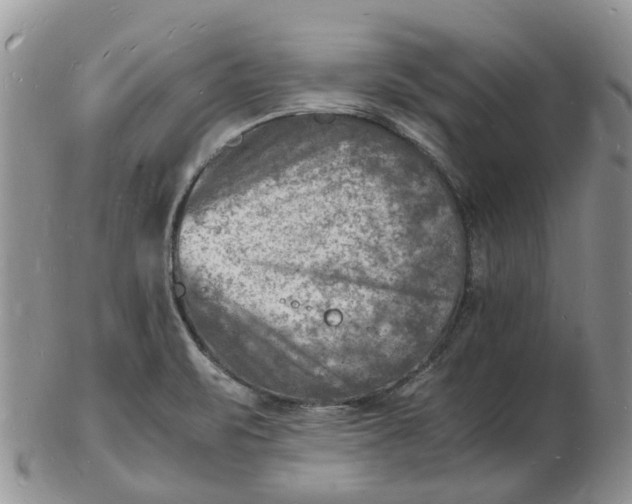 X0000102781471200809021041