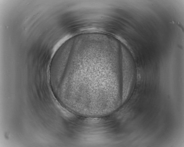 X0000102781474200809021041