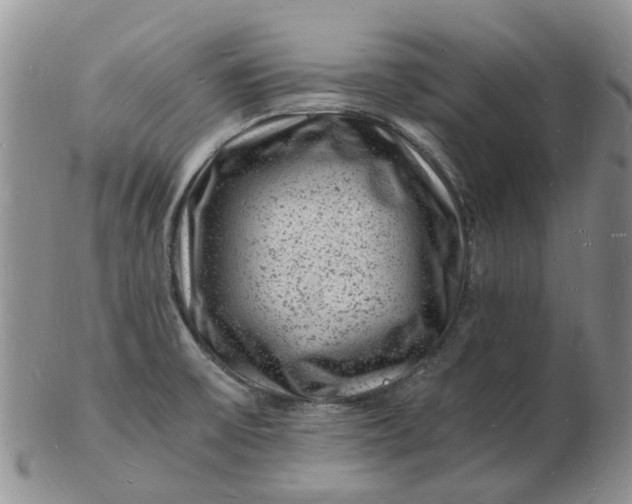 X0000102781475200809021041