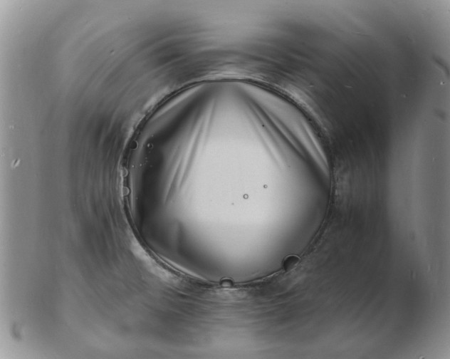 X0000102781476200809021041