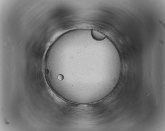 X0000102781478200809021041