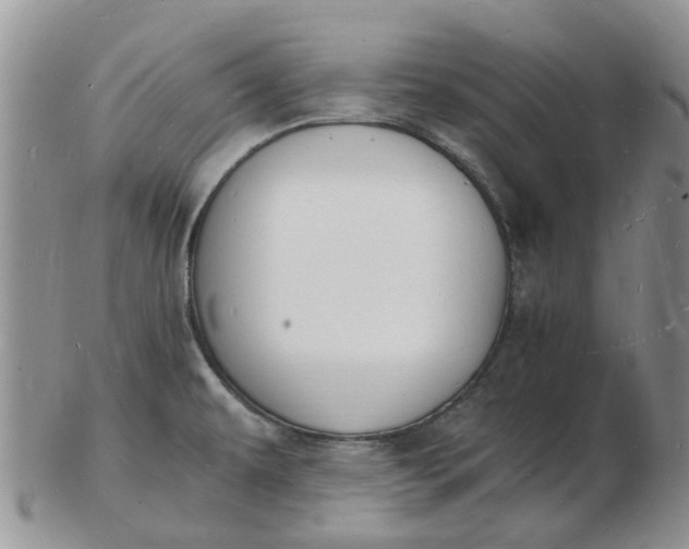 X0000102781479200809021041