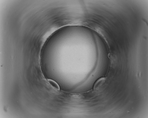 X0000102781480200809021041