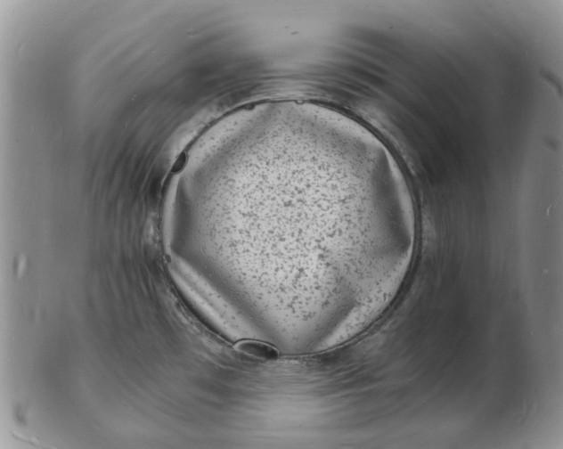 X0000102781481200809021041